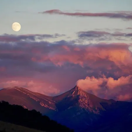 Frühstückspension Maison Chulubitenia *