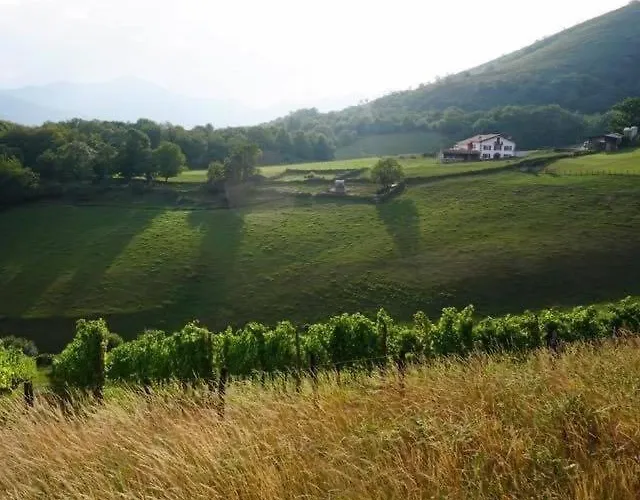 Maison Chulubitenia Bed & Breakfast *